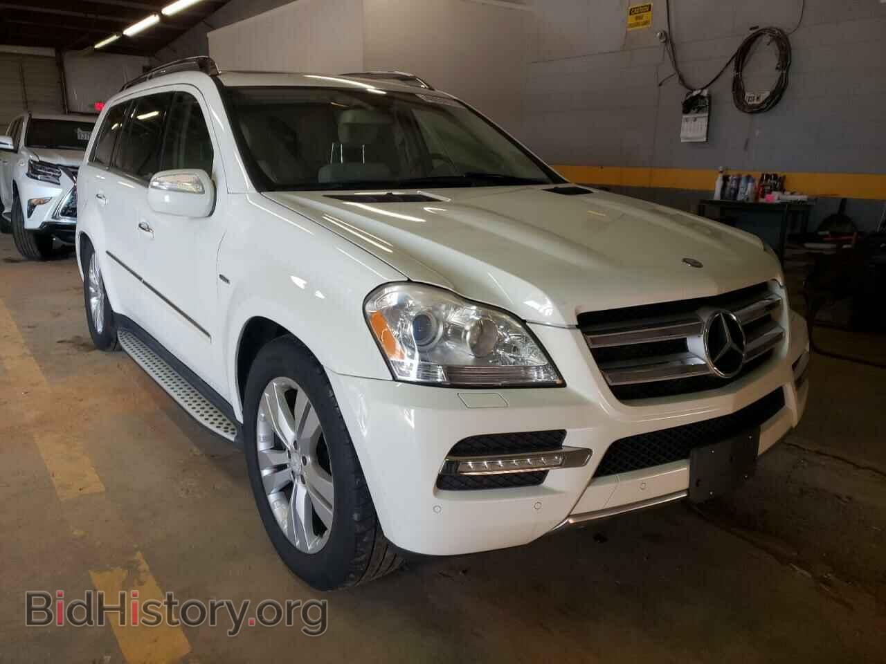 Photo 4JGBF2FB7AA533479 - MERCEDES-BENZ GL-CLASS 2010