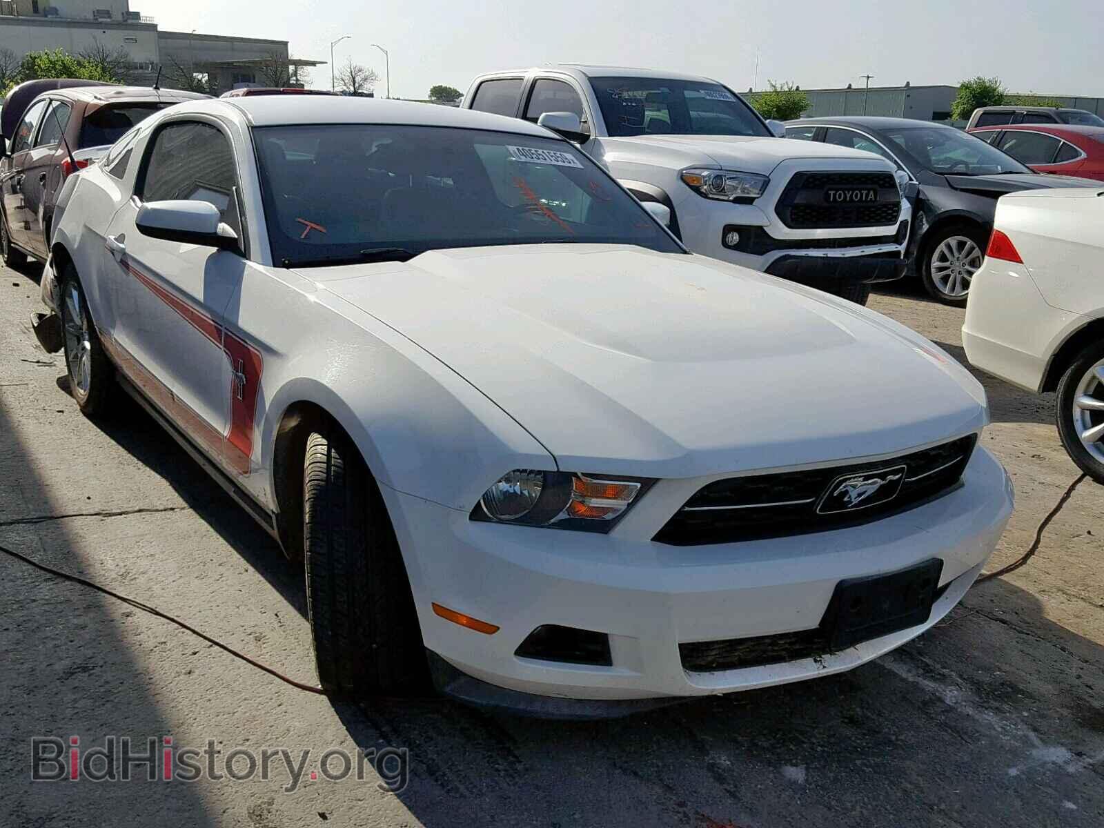 Фотография 1ZVBP8AM6B5143851 - FORD MUSTANG 2011