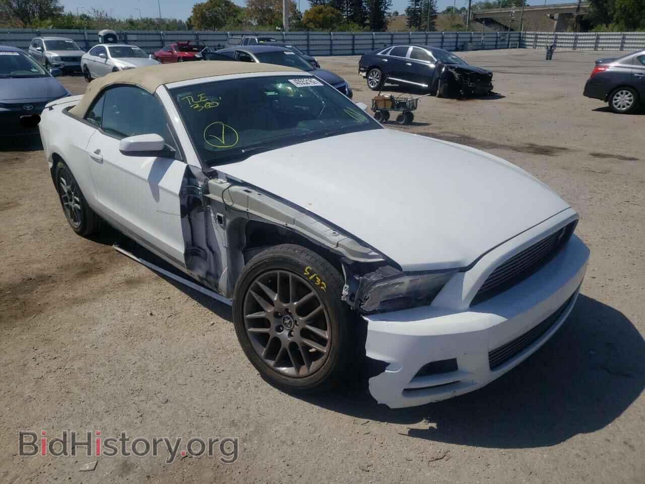 Фотография 1ZVBP8EM4E5215631 - FORD MUSTANG 2014