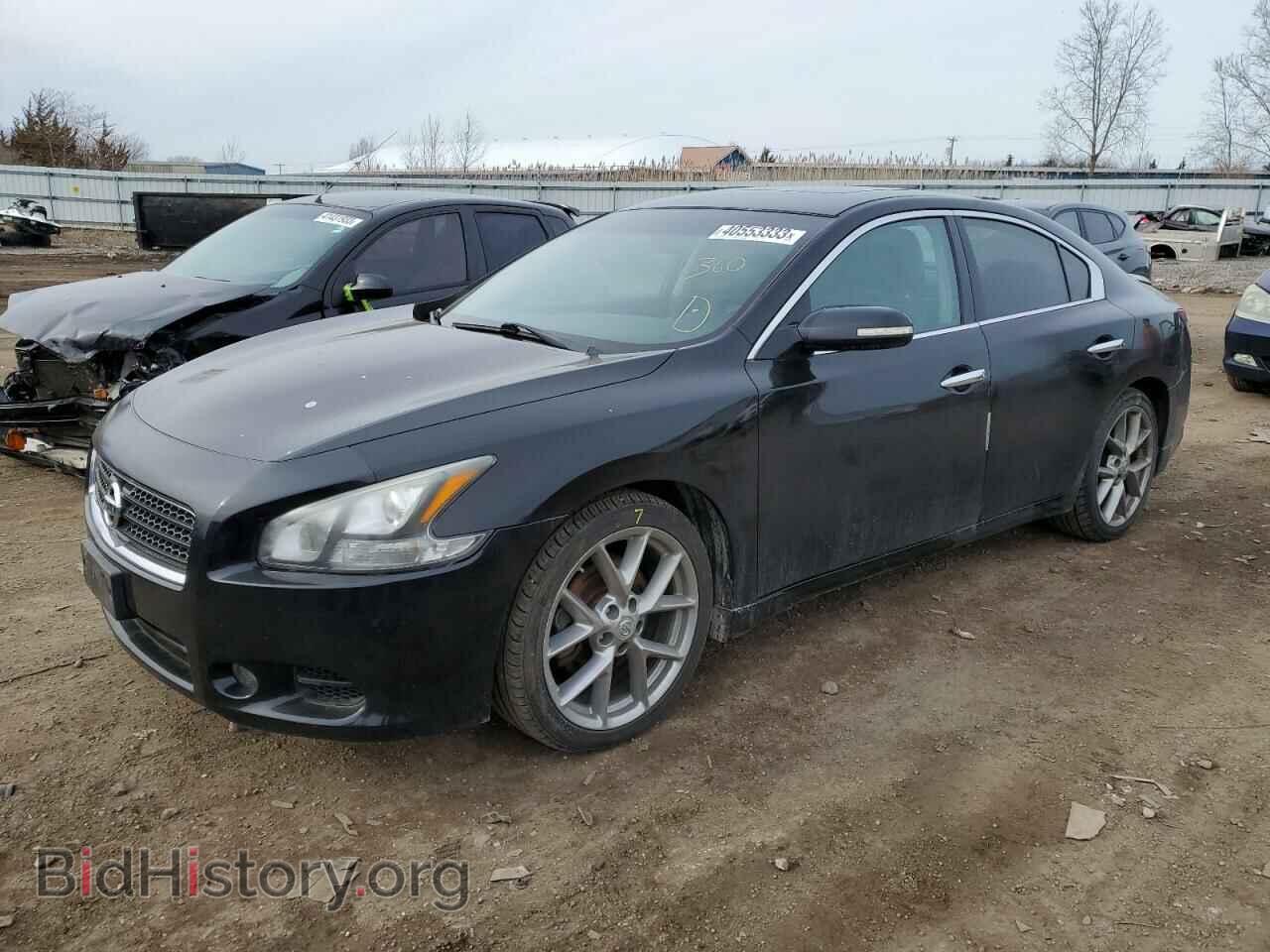 Фотография 1N4AA5AP9BC829327 - NISSAN MAXIMA 2011