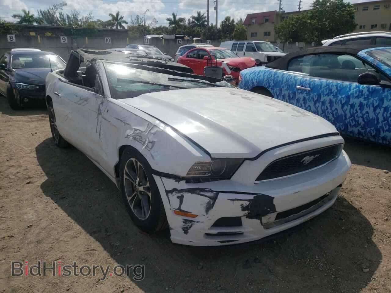 Photo 1ZVBP8EM9E5266736 - FORD MUSTANG 2014