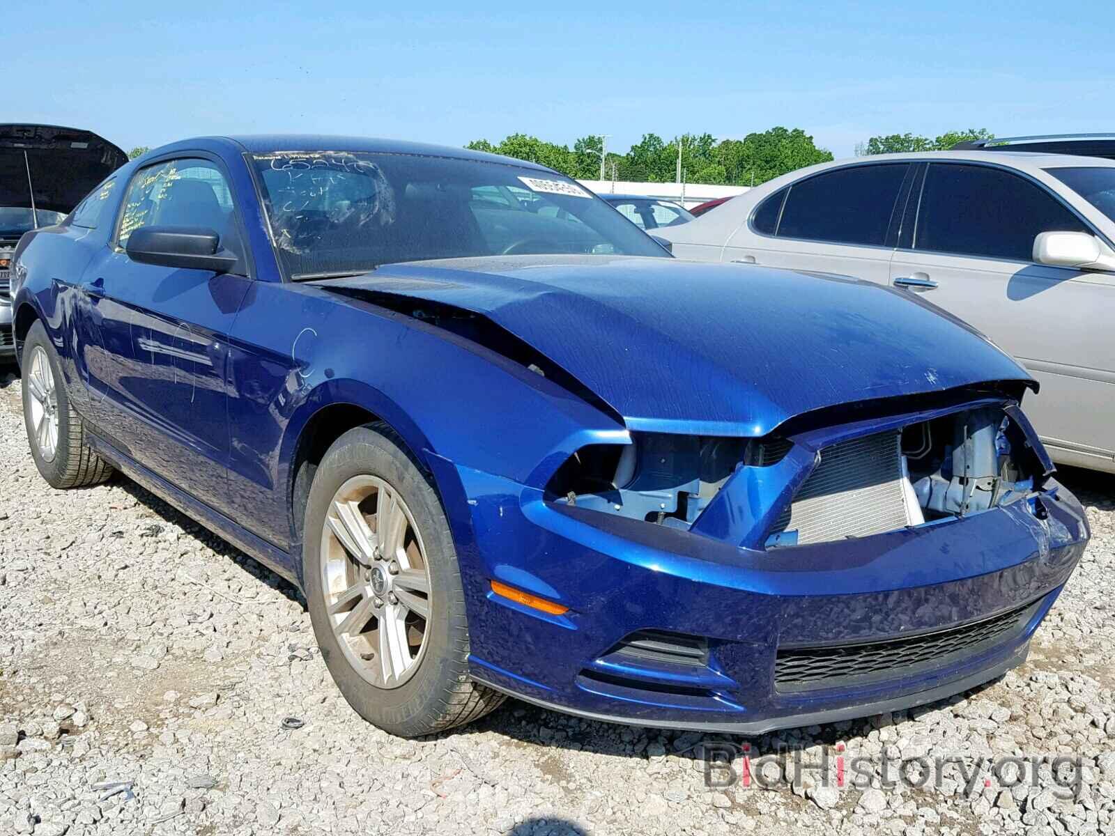 Photo 1ZVBP8AM1E5319953 - FORD MUSTANG 2014