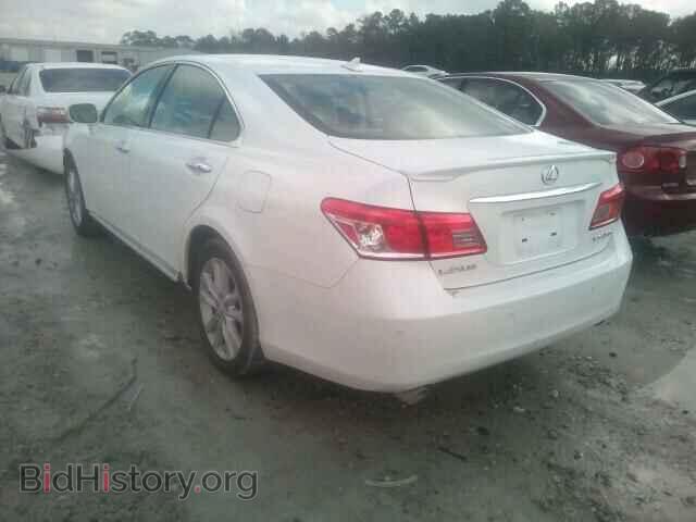 2010 LEXUS ES350 - VIN: JTHBK1EG7A2384412 - Фото 3
