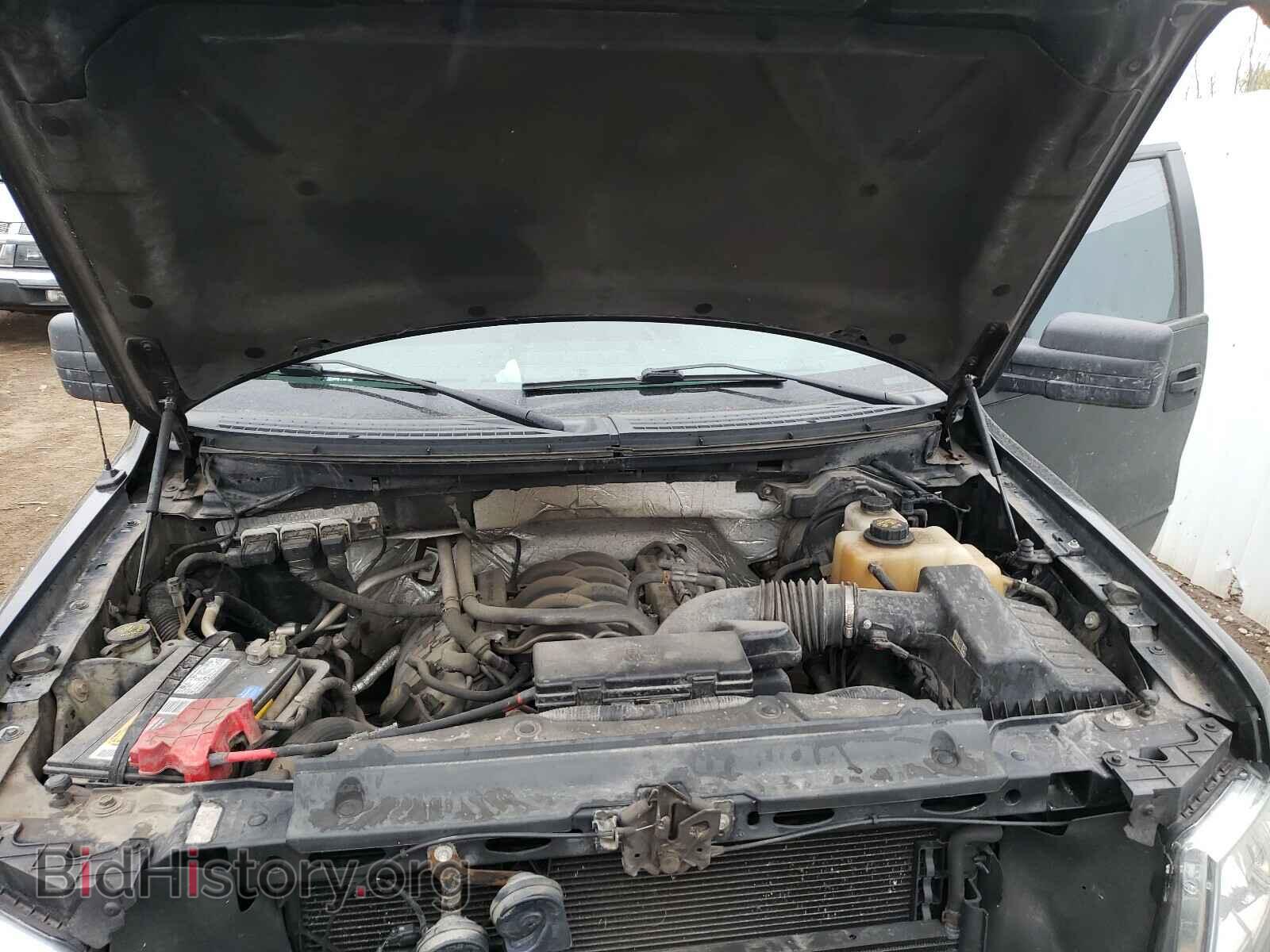 2013 FORD F150 - VIN: 1FTFX1EF9DKE15269 - Фото 7