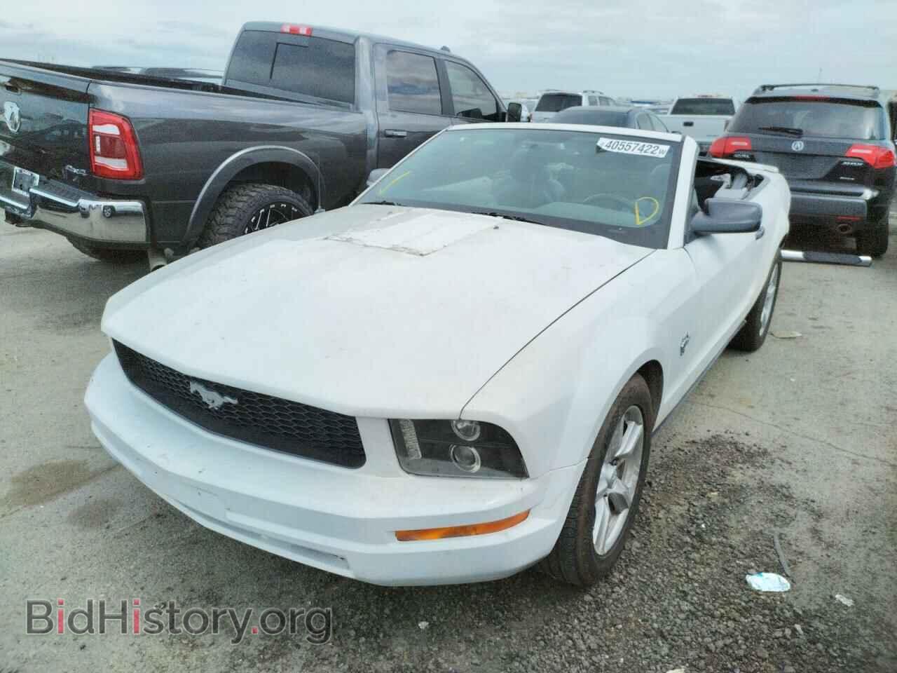 2009 FORD MUSTANG - VIN: 1ZVHT84N295108681 - Фото 2