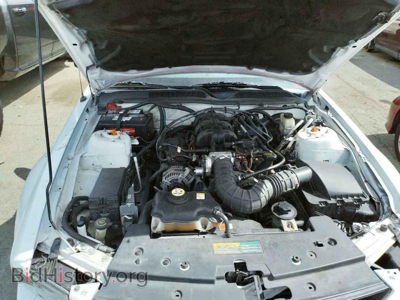 2009 FORD MUSTANG - VIN: 1ZVHT84N295108681 - Фото 7