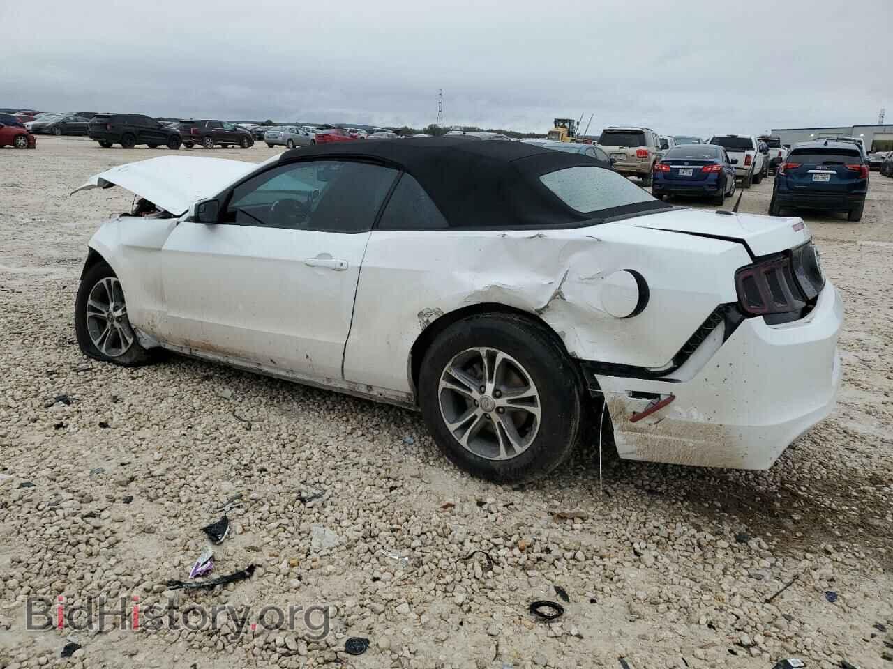 2014 FORD MUSTANG - VIN: 1ZVBP8EM7E5304559 - Фото 2