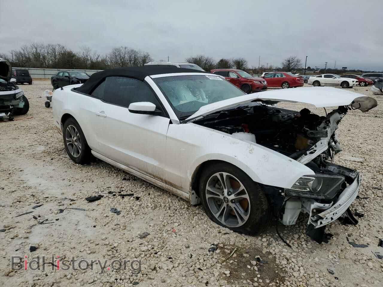2014 FORD MUSTANG - VIN: 1ZVBP8EM7E5304559 - Фото 4