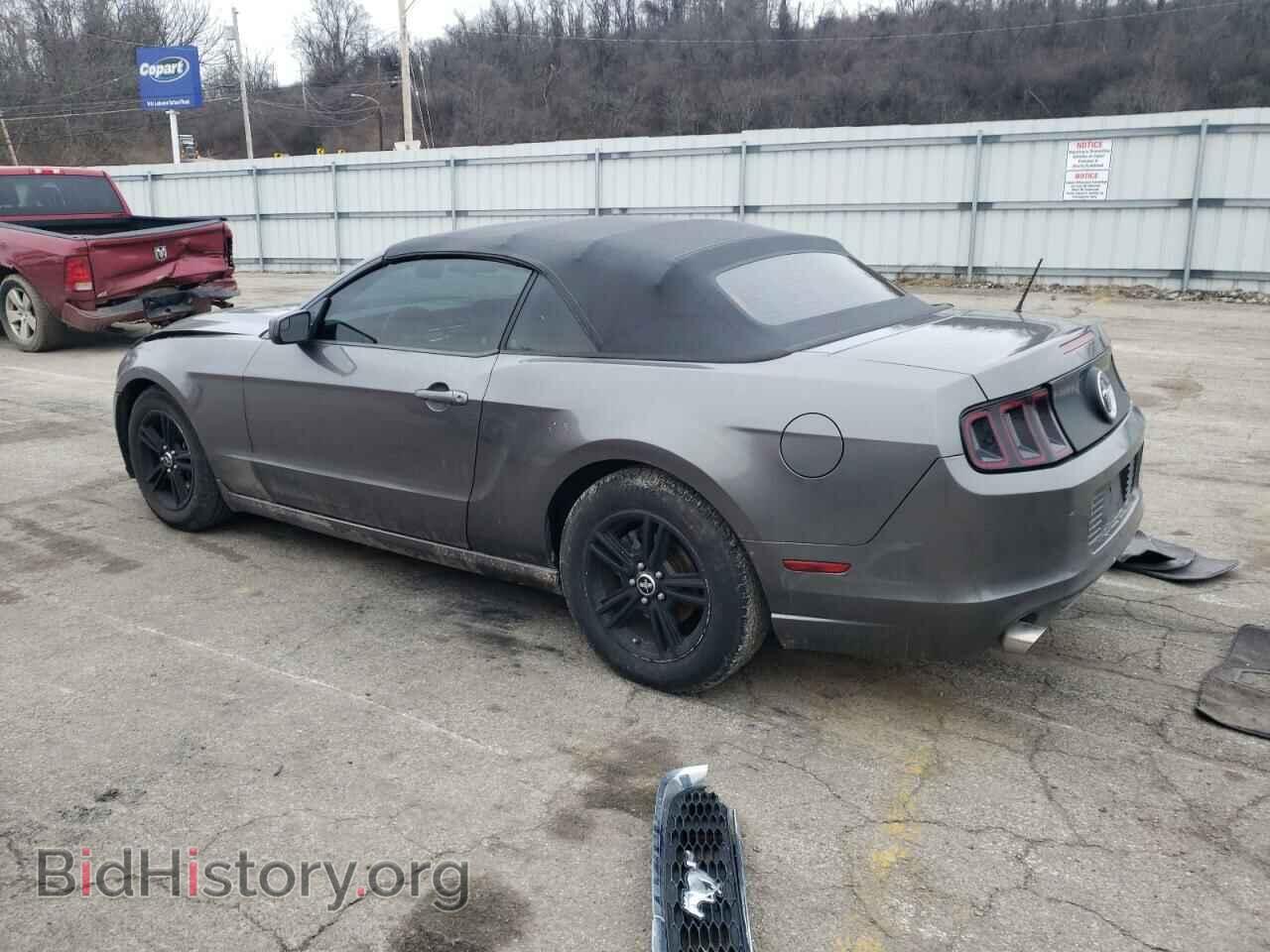 2013 FORD ALL Models - VIN: 1ZVBP8EM3D5217109 - Фото 2