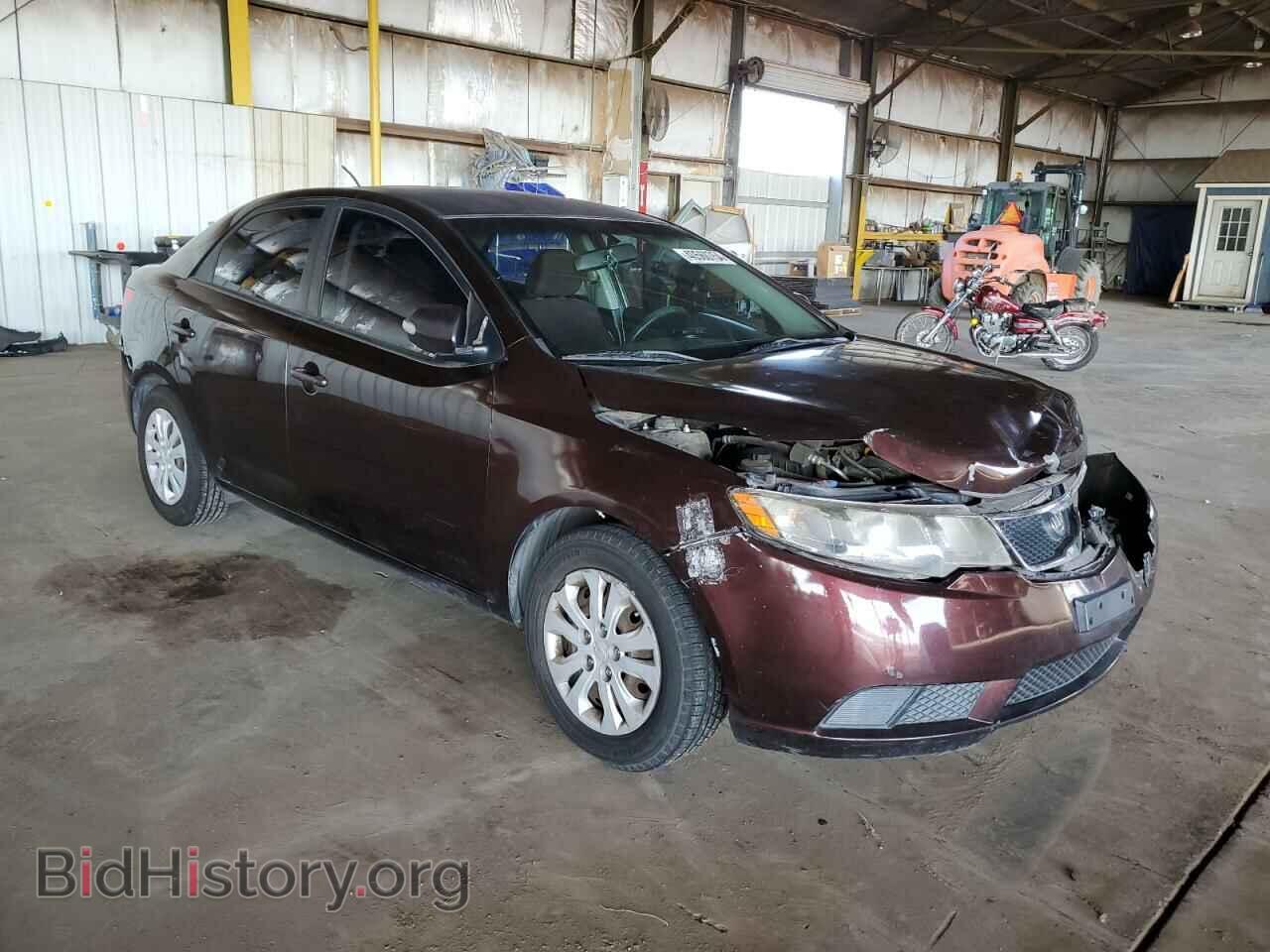 2010 KIA FORTE - VIN: KNAFU4A28A5100502 - Фото 4