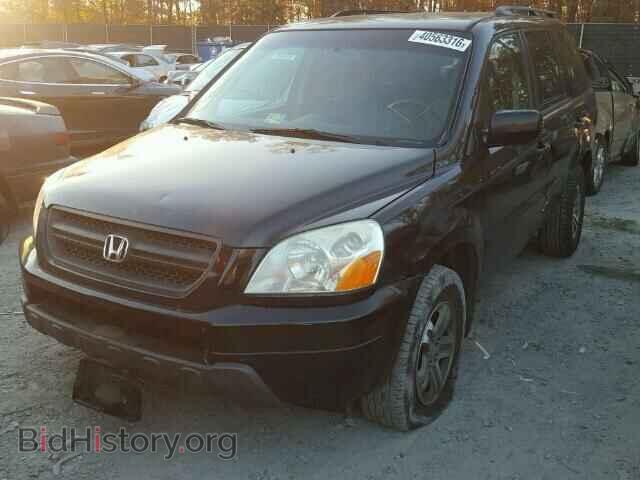 2005 HONDA PILOT - VIN: 5FNYF18405B024466 - Фото 2
