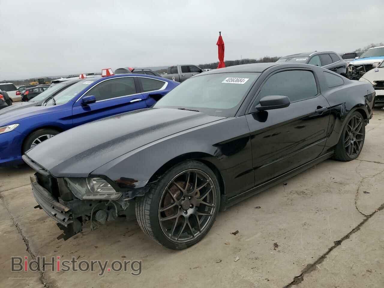 Фотография 1ZVBP8AM3D5259463 - FORD ALL Models 2013