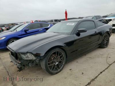 2013 Ford ALL MODELS, черный — VIN 1ZVBP8AM3D5259463, Copart
