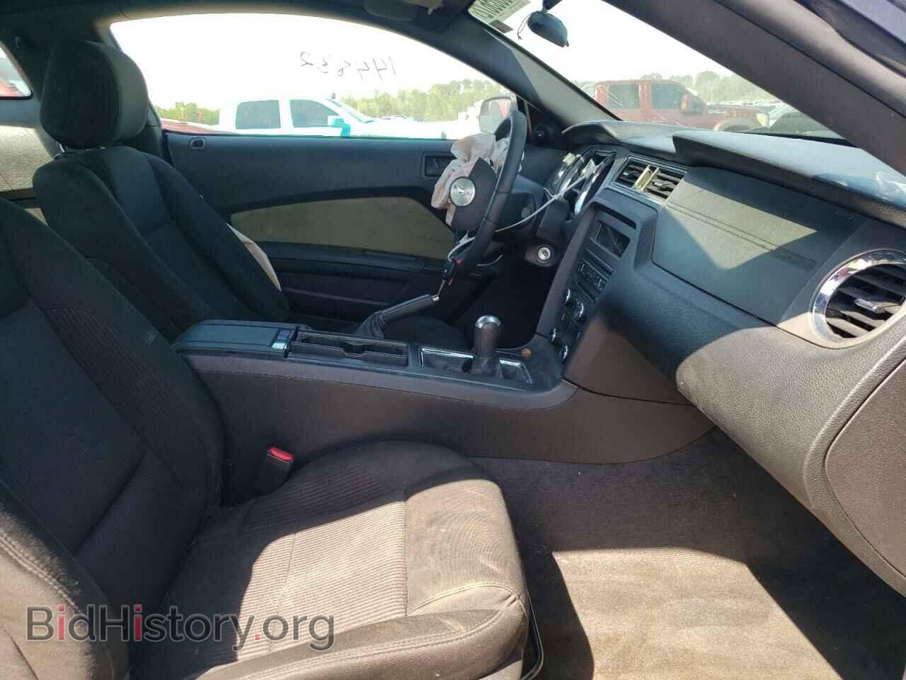 2012 FORD MUSTANG - VIN: 1ZVBP8AM4C5273905 - Фото 5