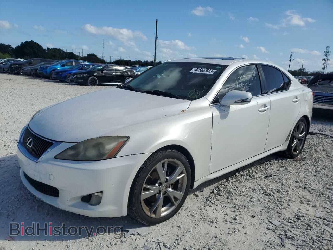 Фотография JTHBK262095095116 - LEXUS IS 2009