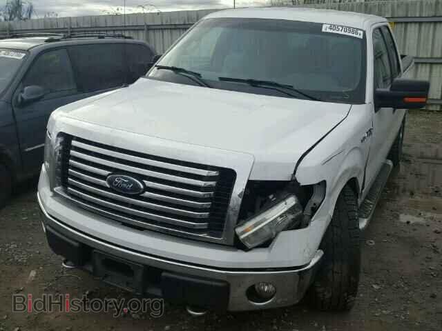 2012 FORD F150 - VIN: 1FTFX1EF0CFD00888 - Фото 2