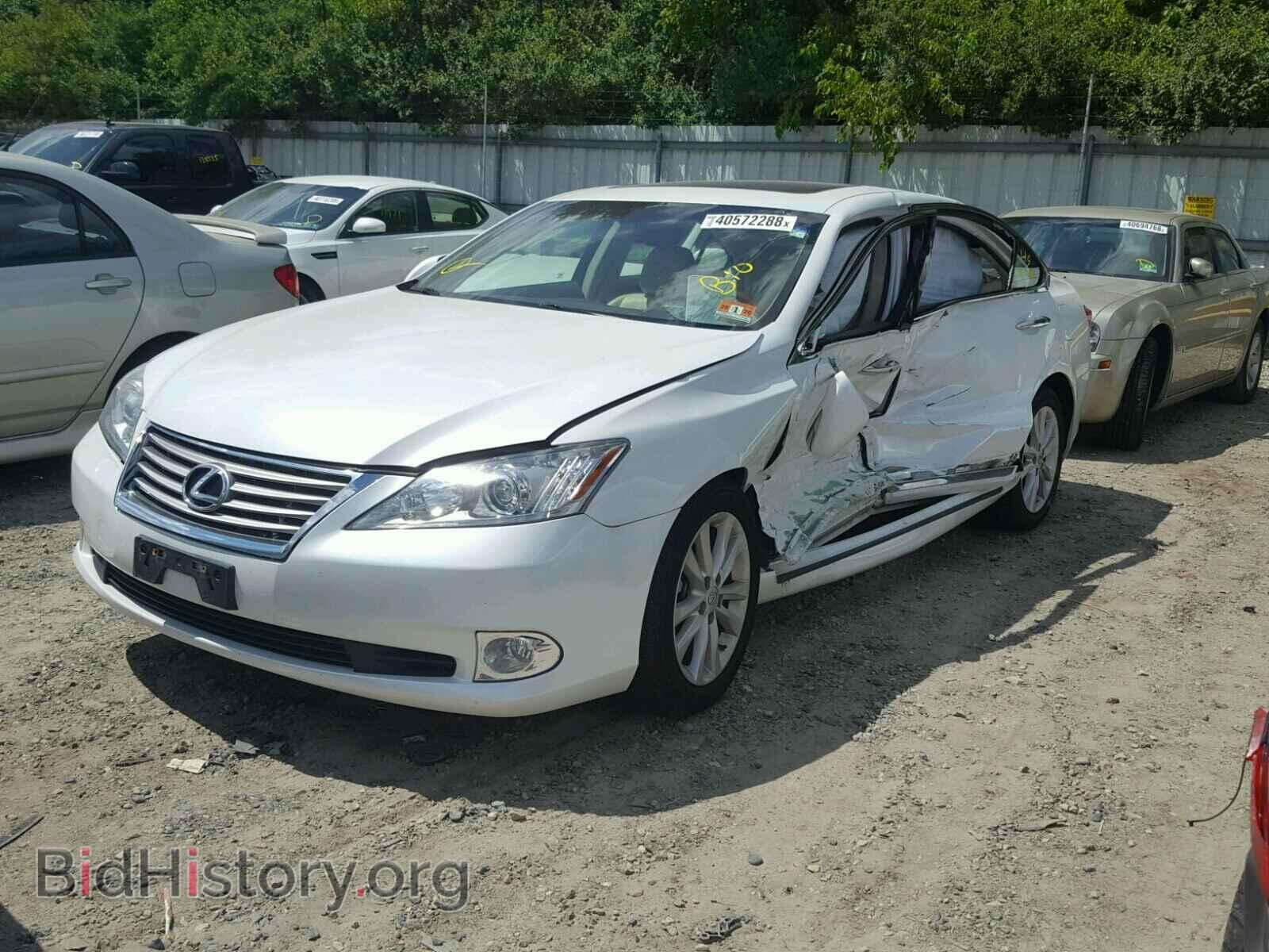 2010 LEXUS ES350 - VIN: JTHBK1EG0A2342633 - Фото 2