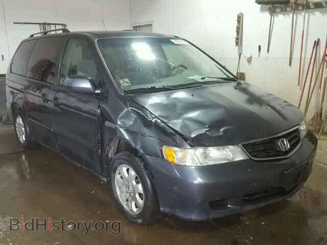 Фотография 5FNRL18683B041172 - HONDA ODYSSEY 2003