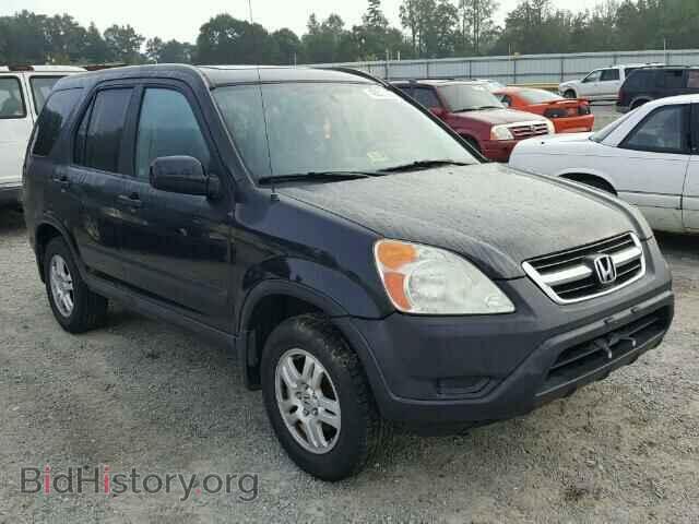 Фотография SHSRD78873U134307 - HONDA CRV 2003