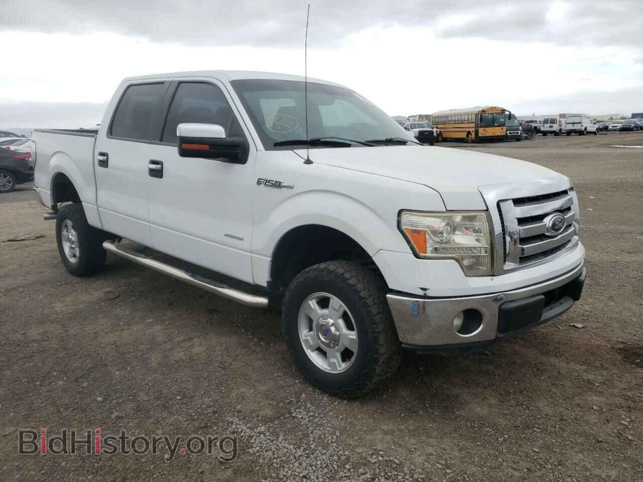 Photo 1FTFW1CT5BFC27690 - FORD F-150 2011