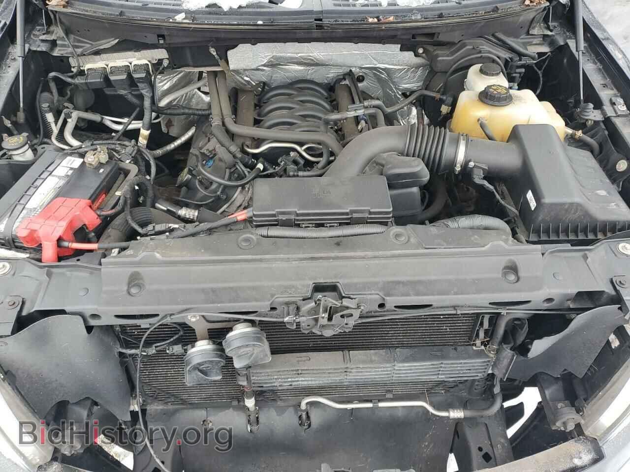 2013 FORD F-150 - VIN: 1FTFX1EF5DFD73336 - Photo 11