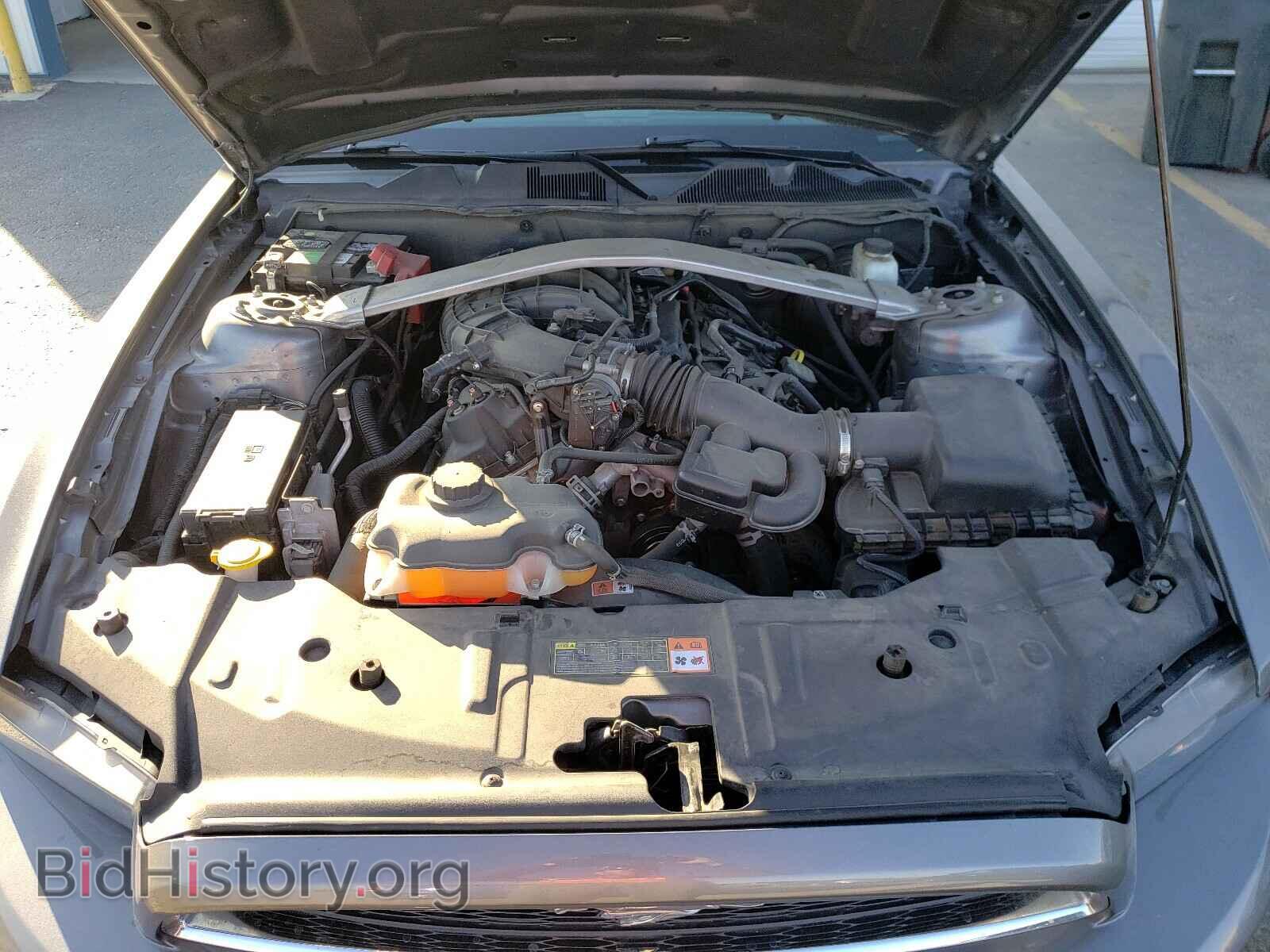2014 FORD MUSTANG - VIN: 1ZVBP8EM2E5229298 - Фото 7