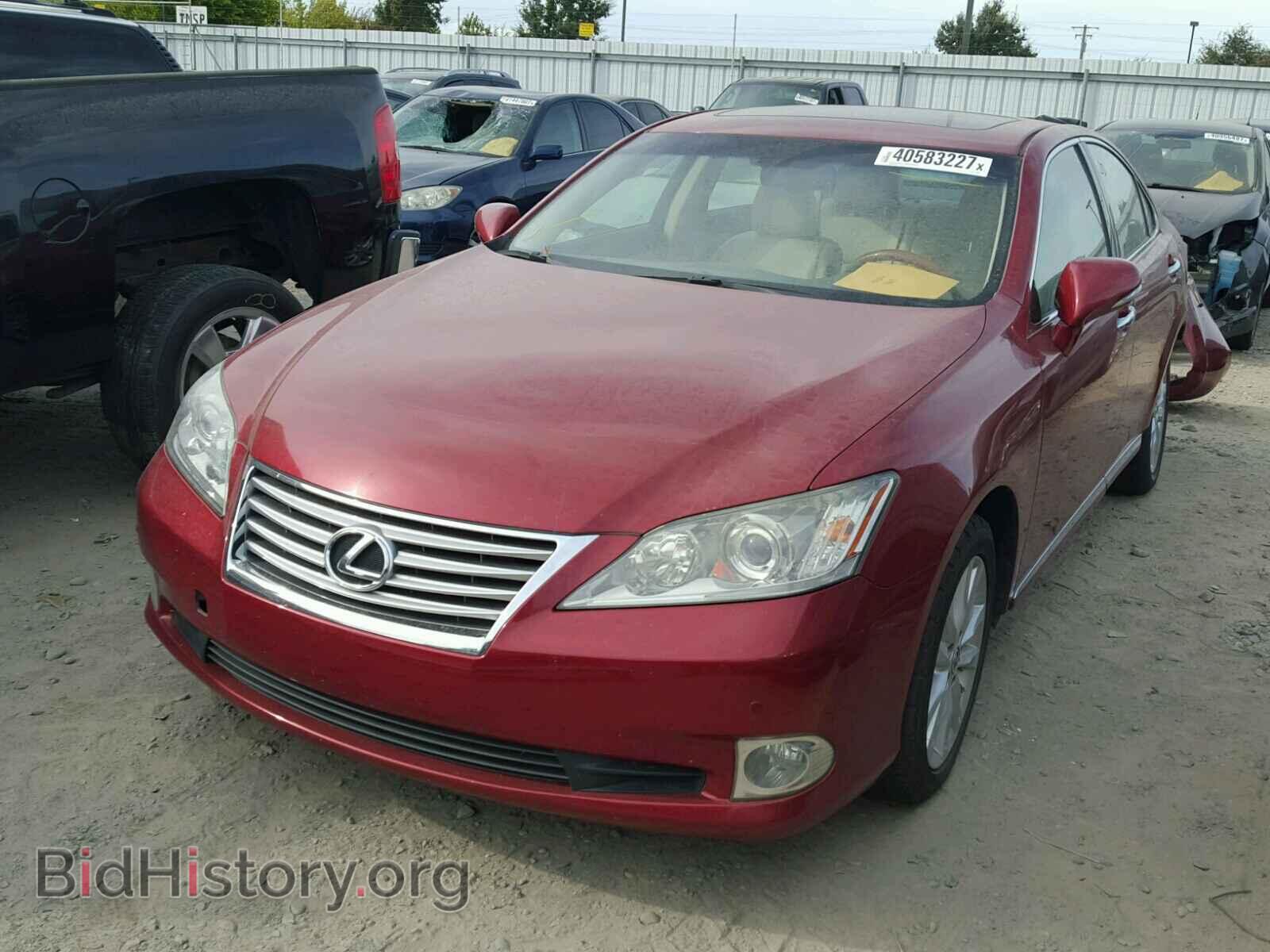 2010 LEXUS ES 350 - VIN: JTHBK1EG5A2376728 - Фото 2