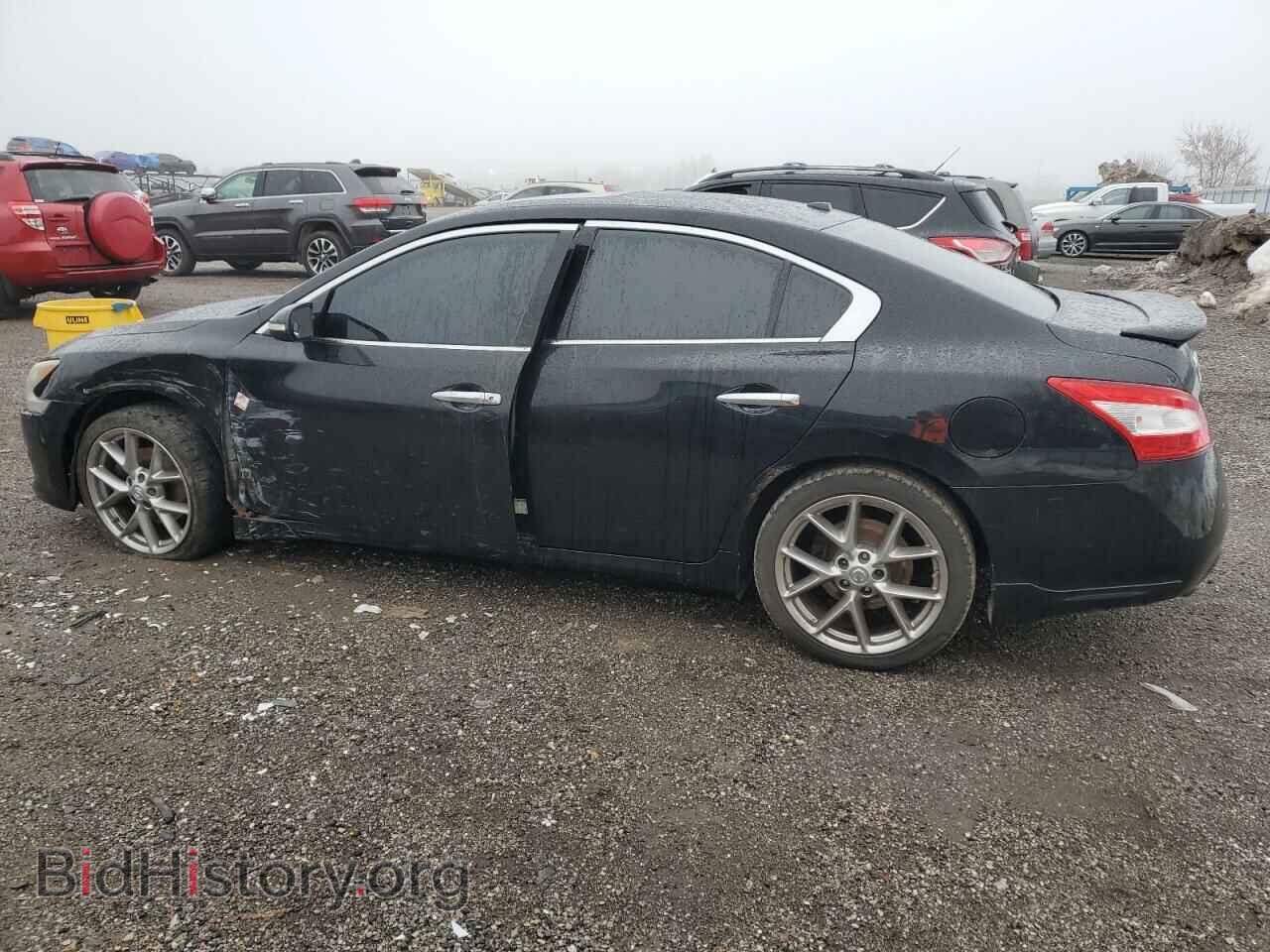 2010 NISSAN MAXIMA - VIN: 1N4AA5AP3AC841603 - Фото 2