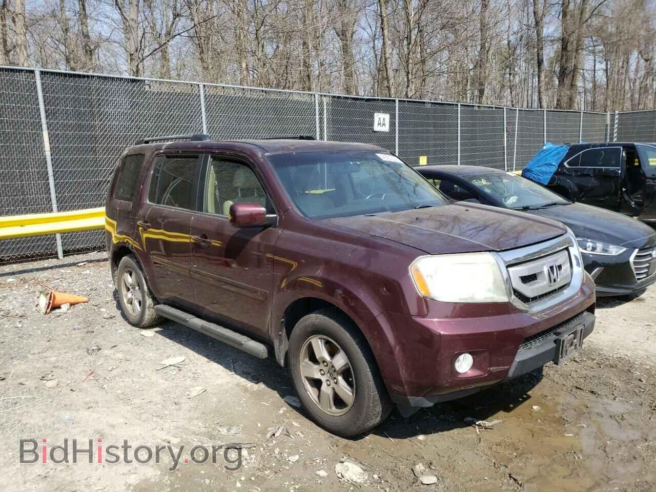 Photo 5FNYF48649B029095 - HONDA PILOT 2009