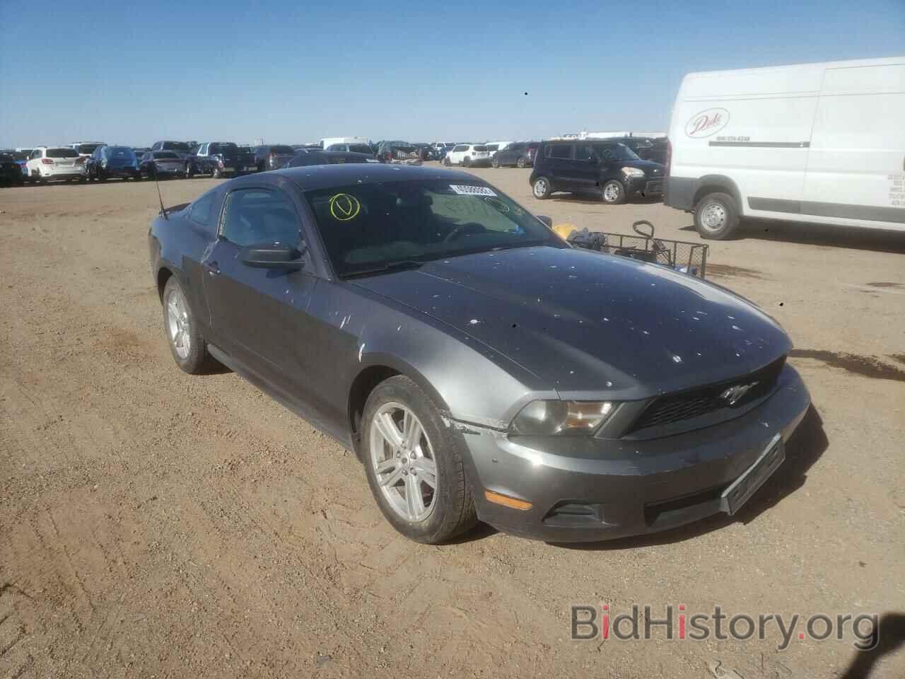 Photo 1ZVBP8AN9A5160621 - FORD MUSTANG 2010