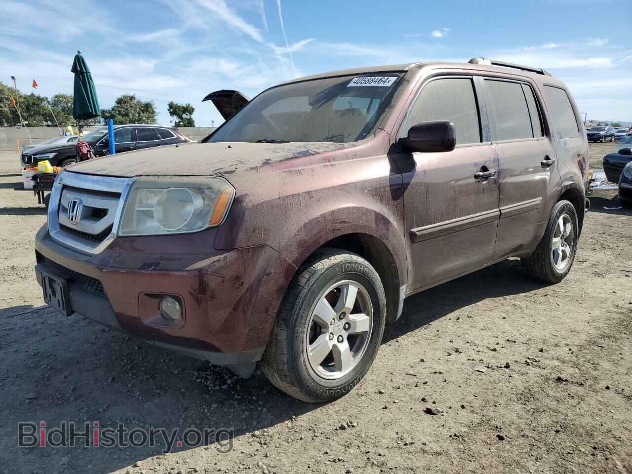 Фотография 5FNYF38559B001419 - HONDA PILOT 2009