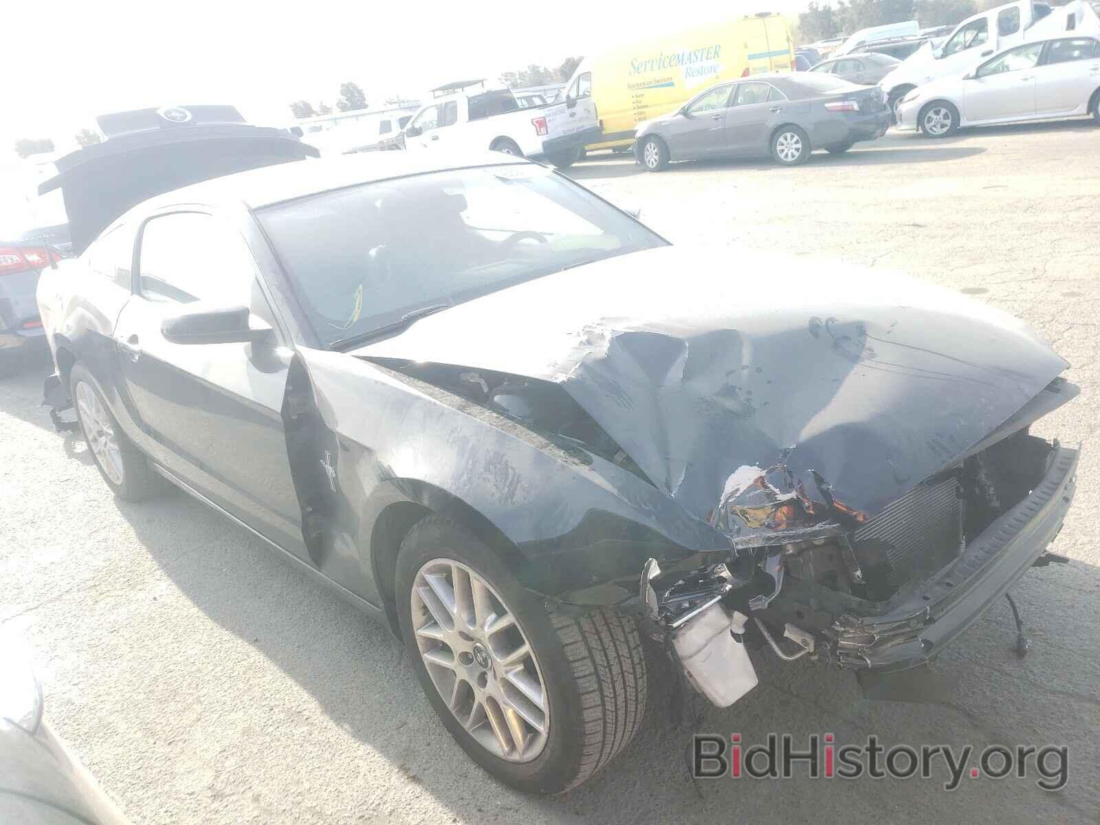 Photo 1ZVBP8AM9E5235931 - FORD MUSTANG 2014