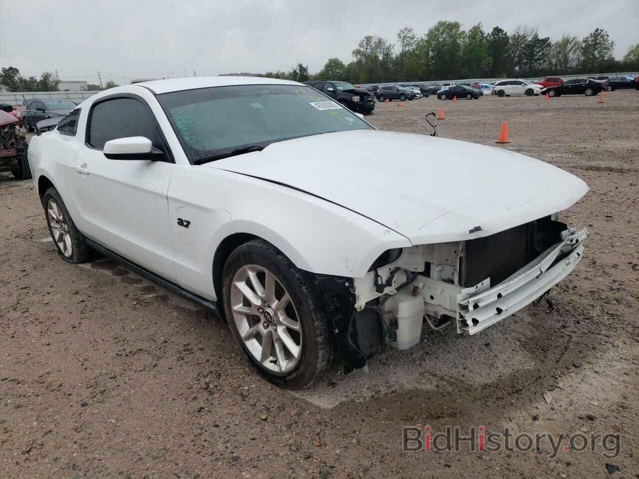 Фотография 1ZVBP8AM2B5134614 - FORD MUSTANG 2011