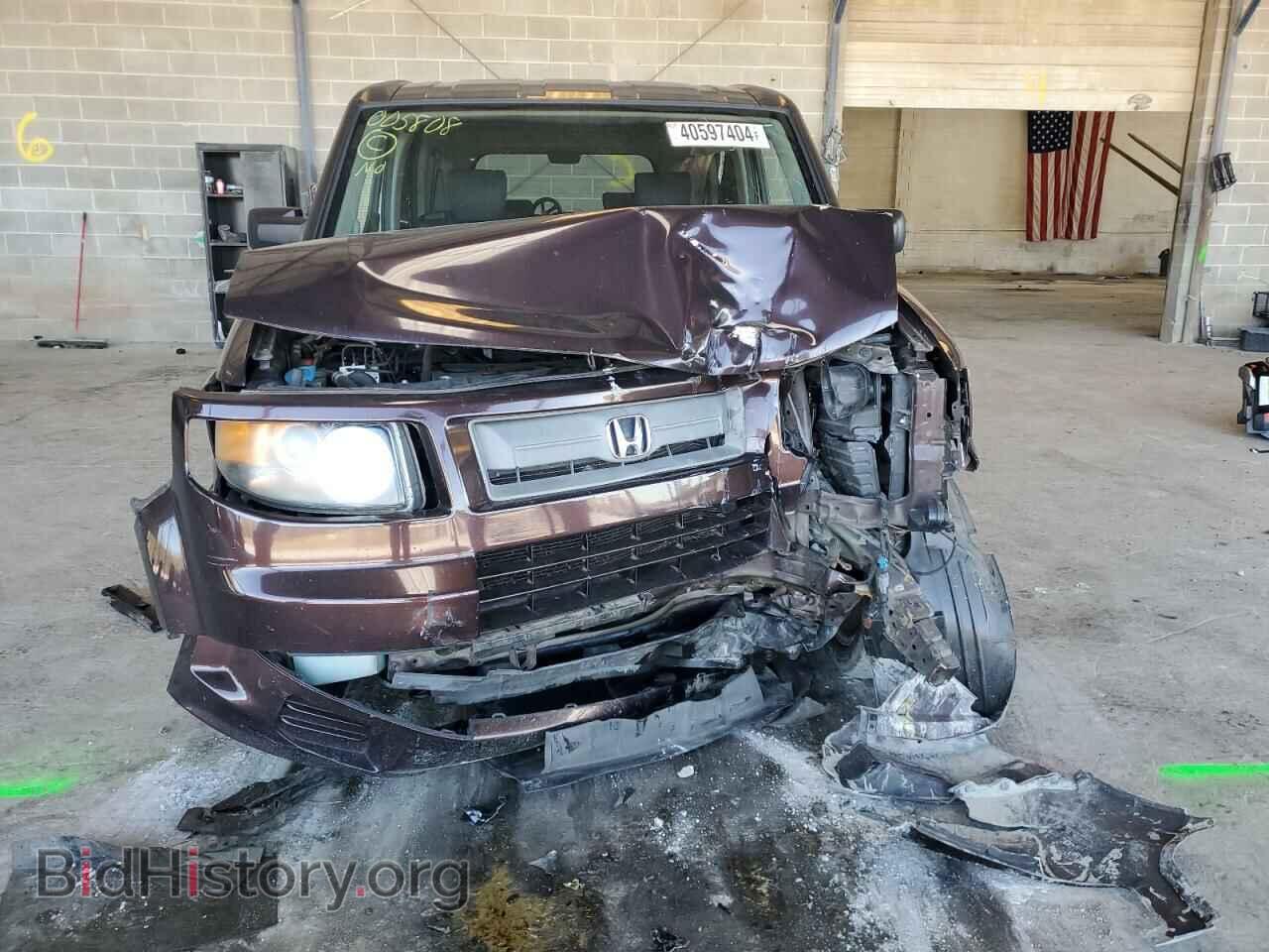 2007 HONDA ELEMENT - VIN: 5J6YH18967L005808 - Фото 5