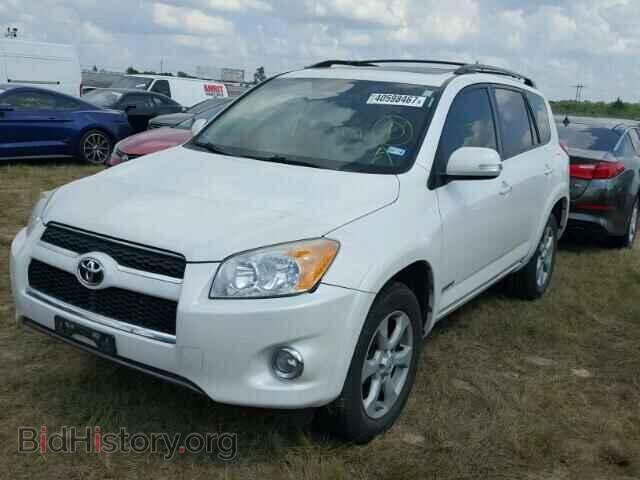 2012 TOYOTA RAV4 - VIN: 2T3YF4DV2CW121014 - Фото 2