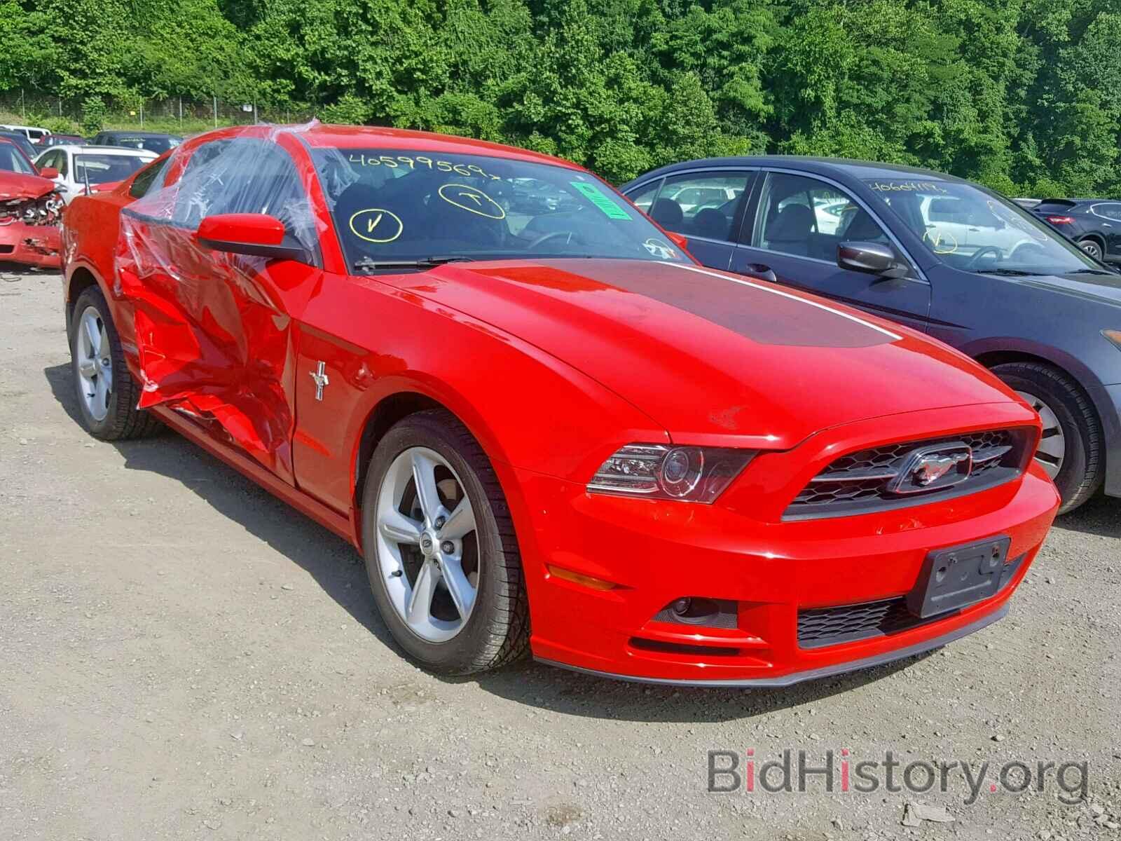 Photo 1ZVBP8AM7D5250457 - FORD MUSTANG 2013