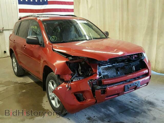 Фотография 2T3BF4DV3BW161493 - TOYOTA RAV4 2011
