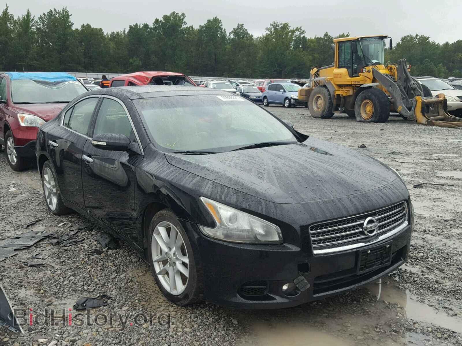 Фотография 1N4AA5AP0BC826591 - NISSAN MAXIMA 2011