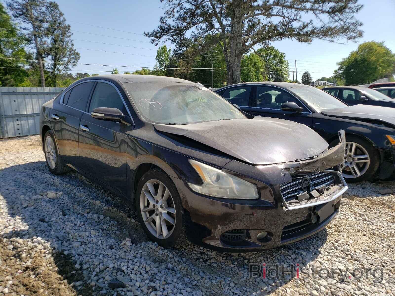 Photo 1N4AA5AP3BC845085 - NISSAN MAXIMA 2011