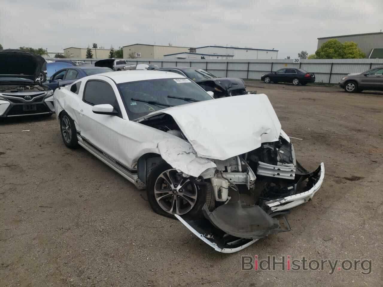 Photo 1ZVBP8AM6E5302470 - FORD MUSTANG 2014