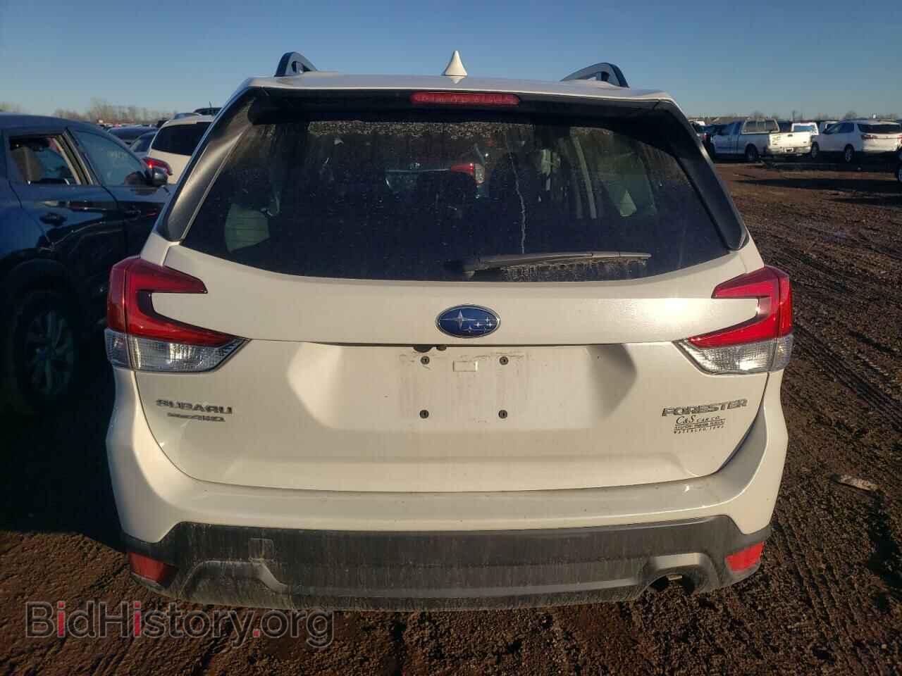 2023 SUBARU FORESTER - VIN: JF2SKADC8PH460727 - Фото 6