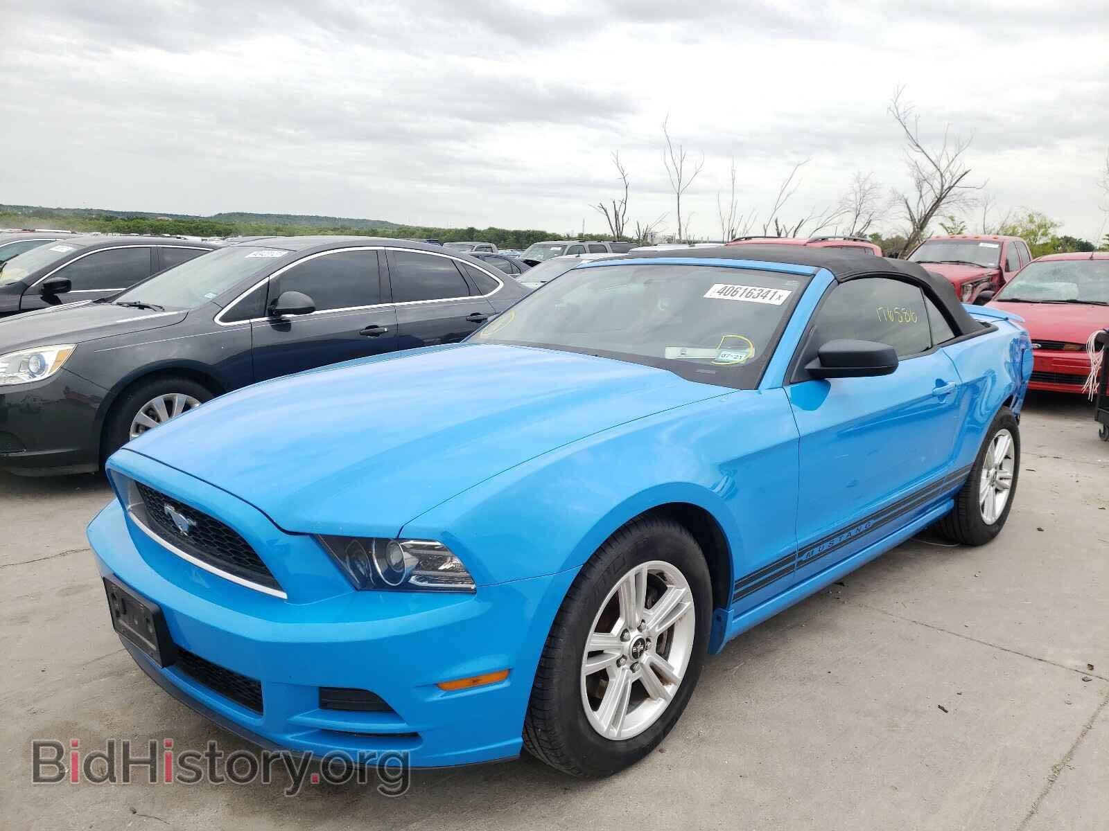 2013 FORD MUSTANG - VIN: 1ZVBP8EM1D5225015 - Фото 2