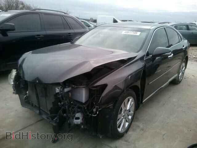 2011 LEXUS ES350 - VIN: JTHBK1EG4B2441473 - Фото 2