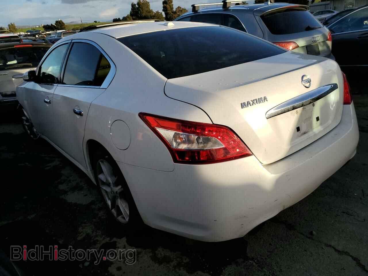 2009 NISSAN MAXIMA - VIN: 1N4AA51E29C821109 - Фото 2