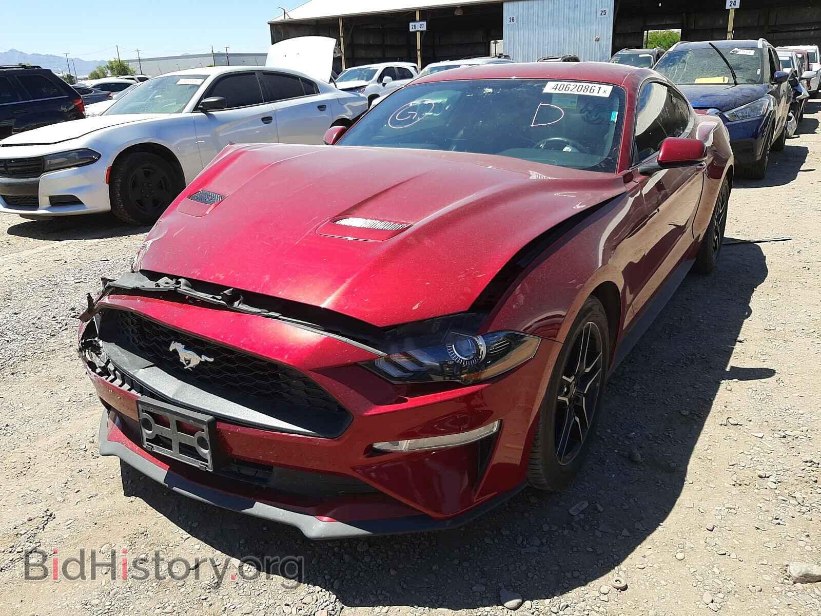 2019 FORD MUSTANG - VIN: 1FA6P8TH2K5134591 - Фото 2