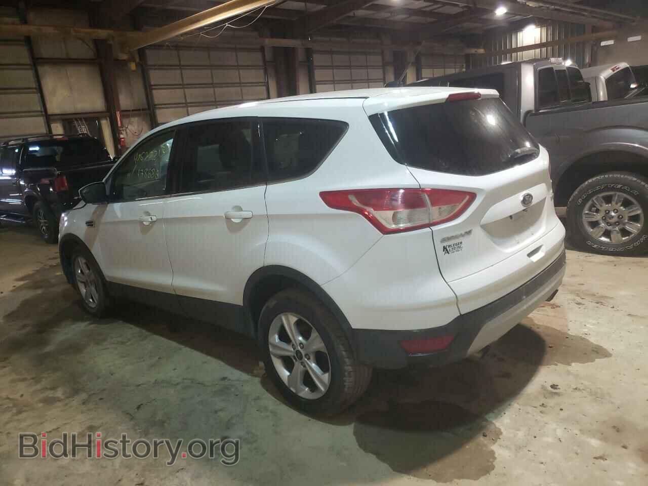2014 FORD ESCAPE - VIN: 1FMCU0GX2EUC93576 - Фото 2