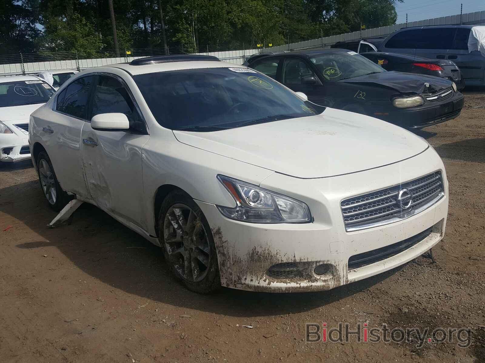 Photo 1N4AA51E09C837292 - NISSAN MAXIMA 2009