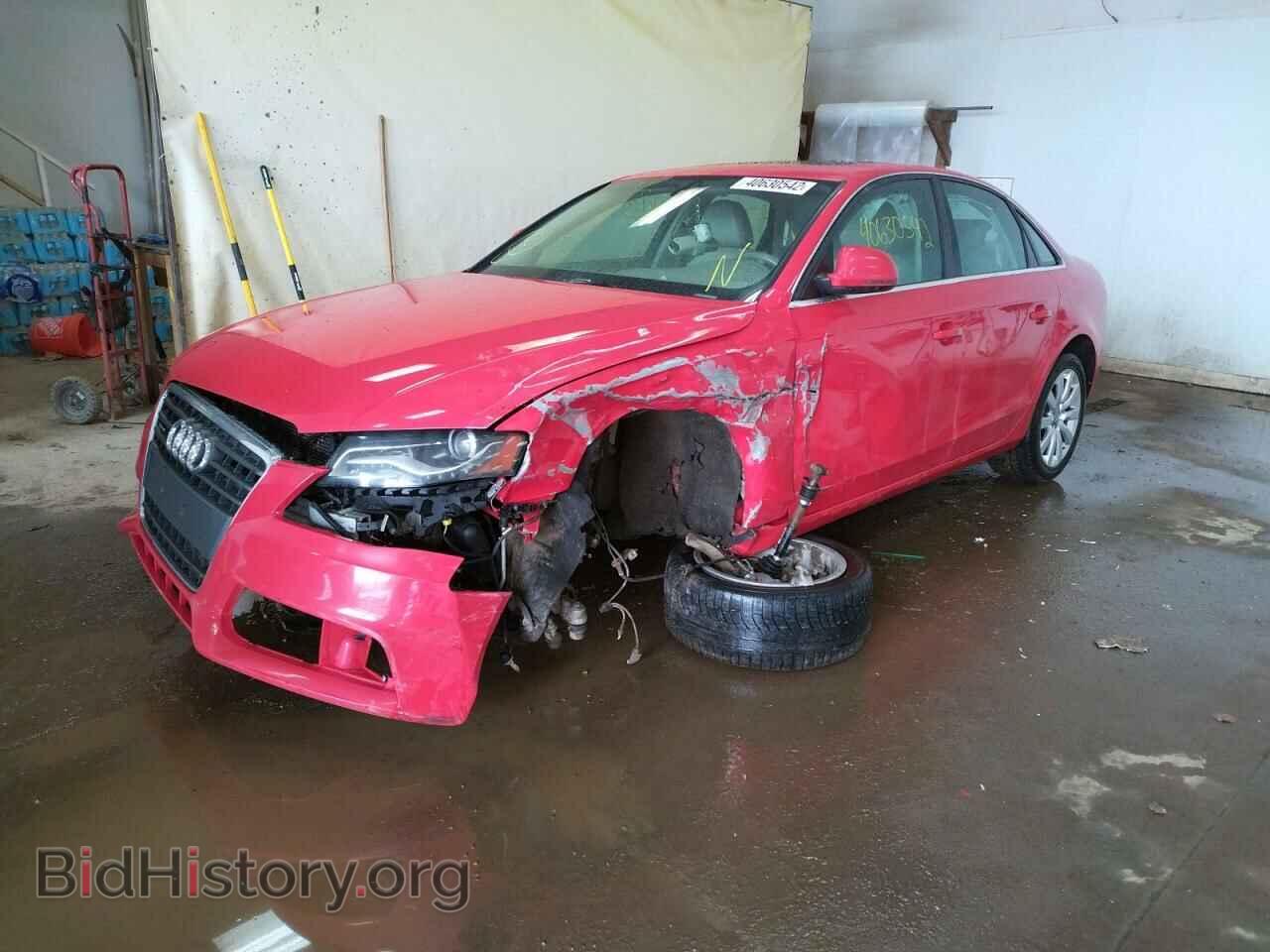 2009 AUDI A4 - VIN: WAUSF78K09N043448 - Фото 2
