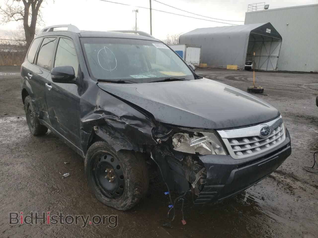 Photo JF2SHCDC8DH445442 - SUBARU FORESTER 2013