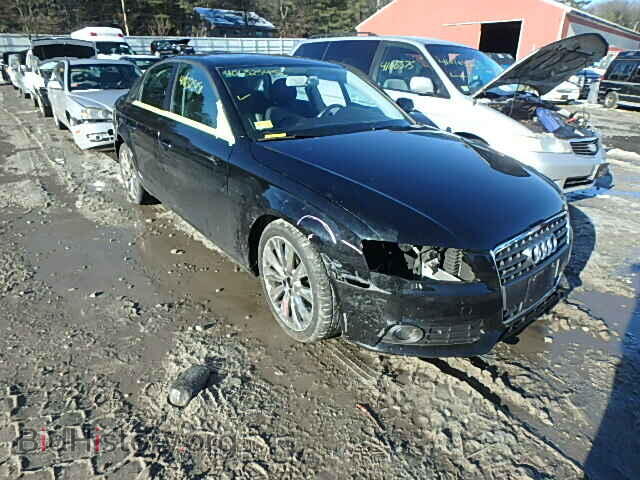 Фотография WAUBFAFL5AN015514 - AUDI A4 2010